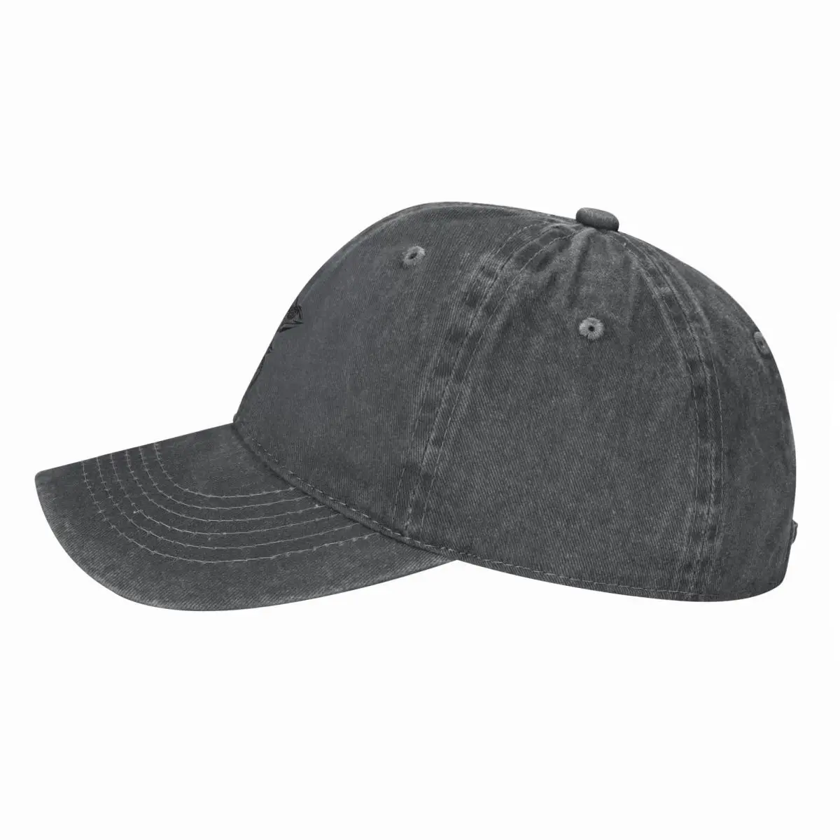 Chameleon Baseball Cap Streetw - Streetwear Brand Golf ulasan dan harga